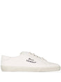 SAINT LAURENT Logo Print Low Top Sneakers for Men