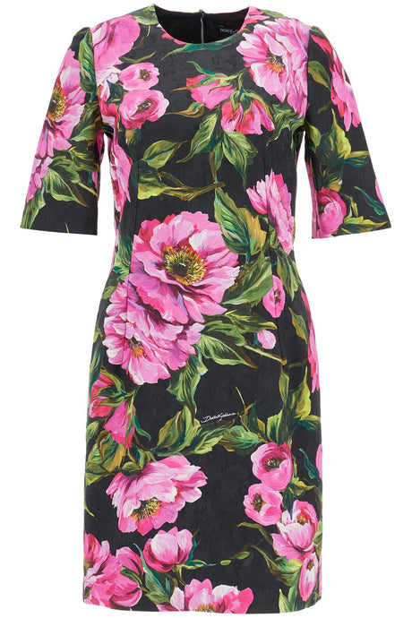 DOLCE & GABBANA Fit and Flare Peony Print Cotton Midi Dress